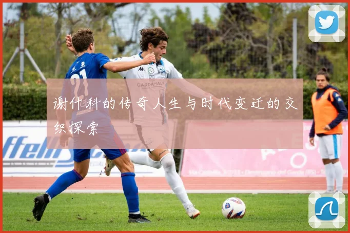 谢什科的传奇人生与时代变迁的交织探索